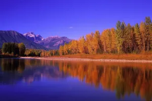 Elk River In Autumn With Three Sisters Mountain Range In The Background; Fernie Elk River In Autumn With Three Sisters Mountain Range In The Background; Fernie