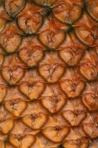 Extreme Close-Up Of Single Pineapple Fruit Skin, Detail Extreme Close-Up Of Single Pineapple Fruit Skin, Detail