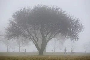 Family Walking Through Park In The Autumn Mist; Ontario Canada Family Walking Through Park In The Autumn Mist; Ontario Canada