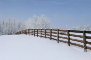 Images Dated 29th December 2009: Fence In A Winter Wonderland, Strathcona County, Alberta