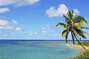 Fiji, Blue And Turquoise Ocean With Palm Tree And Sandy Beach Fiji, Blue And Turquoise Ocean With Palm Tree And Sandy Beach