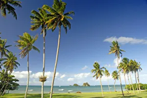 Fiji, Grassy shoreline with tall palm trees along ocean with boats and small islands; Taveuni Fiji, Grassy shoreline with tall palm trees along ocean with boats and small islands; Taveuni