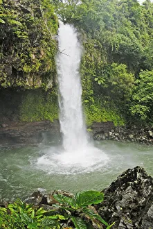 Fiji, Taveuni, Tavoro Waterfall cascading into tropical pool; Bouma National Heritage Park Fiji, Taveuni, Tavoro Waterfall cascading into tropical pool; Bouma National Heritage Park