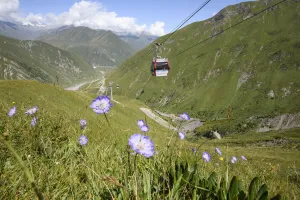 Flowers bloom in summer underneath a ski lift that brings people to Gudauri ski resort, Georgia Flowers bloom in summer underneath a ski lift that brings people to Gudauri ski resort, Georgia