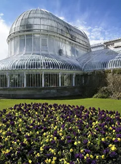 Flowers In A Garden In Front Of A Greenhouse, Palm House, Belfast Botanic Gardens Flowers In A Garden In Front Of A Greenhouse, Palm House, Belfast Botanic Gardens