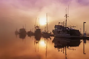 Fog Lifting Over Auke Bay Harbor, Juneau, Southeast Alaska Fog Lifting Over Auke Bay Harbor, Juneau, Southeast Alaska