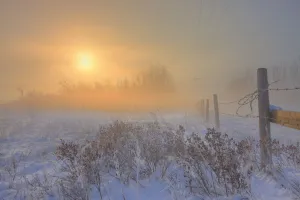 Foggy Winter Sunrise Over Barbed Wire Fence, Alberta Prairie Foggy Winter Sunrise Over Barbed Wire Fence, Alberta Prairie