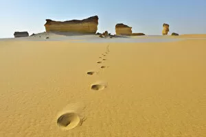African Places And Things Collection: Footprints in Desert Landscape, Matruh Governorate, Libyan Desert, Sahara Desert, Egypt, Africa