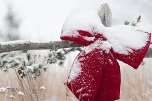 Fresh Snow On Holiday Bow And Decorations On Fence Post, Christmas Season; Minnesota, United States Of America Fresh Snow On Holiday Bow And Decorations On Fence Post, Christmas Season; Minnesota, United States Of America