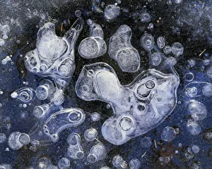 Frozen Bubbles In Pond Ice Eagle River Valley Sc Alaska Winter Chugach State Park Frozen Bubbles In Pond Ice Eagle River Valley Sc Alaska Winter Chugach State Park