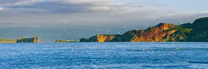Gannets In Flight And Perce Rock At Sunset From Barachois, Gaspesie, Quebec Gannets In Flight And Perce Rock At Sunset From Barachois, Gaspesie, Quebec