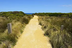 Gravel Path to Viewpoint, The Grotto, Port Campbell, Great Ocean Road, Victoria, Australia Gravel Path to Viewpoint, The Grotto, Port Campbell, Great Ocean Road, Victoria, Australia