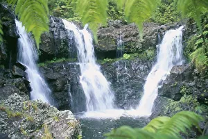 Hawaii, Big Island, Rainforest Waterfalls, Three Waterfalls Feeds Into One Pool Hawaii, Big Island, Rainforest Waterfalls, Three Waterfalls Feeds Into One Pool
