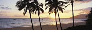 Hawaii, Couple walks on tropical beach at sunset, palm trees, boats anchored offshore Hawaii, Couple walks on tropical beach at sunset, palm trees, boats anchored offshore