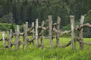 Hawaii, Lanai, Wooden Fence Bordering Pasture As Lodge At Koele Horse Stables Hawaii, Lanai, Wooden Fence Bordering Pasture As Lodge At Koele Horse Stables