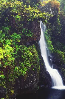 Hawaii, Maui, Foliage And Waterfall Along Hana Highway Hawaii, Maui, Foliage And Waterfall Along Hana Highway
