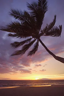 Hawaii, Maui, Kihei, Palm Tree Over The Beach At Sunset Hawaii, Maui, Kihei, Palm Tree Over The Beach At Sunset