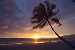 Hawaii, Maui, Kihei, Palm Tree At Sunset, Couple And Dog Walking Along The Beach Hawaii, Maui, Kihei, Palm Tree At Sunset, Couple And Dog Walking Along The Beach