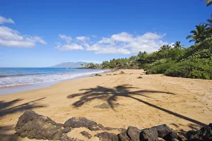 Hawaii, Maui, Makena, Chang's Beach, Shadow Of Palm Tree On Sand Hawaii, Maui, Makena, Chang's Beach, Shadow Of Palm Tree On Sand