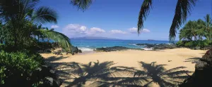Hawaii, Maui, Makena; Small Secluded Beach Palm Shadows On Sand, Rocky Shore Hawaii, Maui, Makena; Small Secluded Beach Palm Shadows On Sand, Rocky Shore