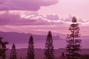 Hawaii, Maui, Sunset Looking Toward Kahakuloa, Pine Trees In Foreground Hawaii, Maui, Sunset Looking Toward Kahakuloa, Pine Trees In Foreground