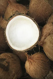 Hawaii, Oahu, A Coconut In Halves, White Meaty Fruit Hawaii, Oahu, A Coconut In Halves, White Meaty Fruit