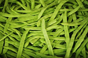 Hawaii, Oahu, Honolulu, Chinatown, Close-Up Of String Beans Hawaii, Oahu, Honolulu, Chinatown, Close-Up Of String Beans