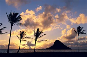 Hawaii, Oahu, Kualoa County Beach Park, Mokoli'i Island (Chinaman Hat) Silhouetted At Sunrise, Palms On Shore Hawaii, Oahu, Kualoa County Beach Park, Mokoli'i Island (Chinaman Hat) Silhouetted At Sunrise, Palms On Shore
