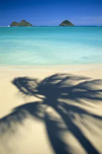 Hawaii, Oahu, Lanikai Beach, Turquoise Ocean, Mokulua Islands, Shadow Of Palm B1489 Hawaii, Oahu, Lanikai Beach, Turquoise Ocean, Mokulua Islands, Shadow Of Palm B1489