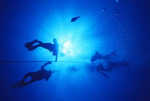 Hawaii, Oahu, Silhouette Of Scuba Divers Near The Surface Above Mahi Wreck, Ascending The Anchor Line Hawaii, Oahu, Silhouette Of Scuba Divers Near The Surface Above Mahi Wreck, Ascending The Anchor Line