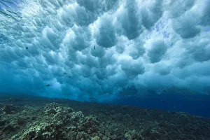 Hawaii, Underwater View Of Wave Breaking Over Shallow Reef Hawaii, Underwater View Of Wave Breaking Over Shallow Reef