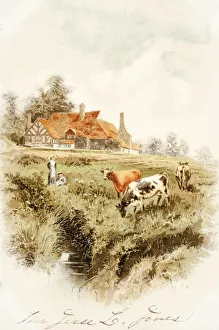 Historic Greeting Card With Illustration Of Cows And People On Farm From 19th Century Historic Greeting Card With Illustration Of Cows And People On Farm From 19th Century