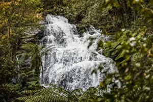 Hopetoun Falls, Beech Forest, Victoria, Australia Hopetoun Falls, Beech Forest, Victoria, Australia