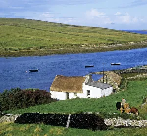 Houses At A Riverside, Clifden, Connemara, County Galway, Republic Of Ireland Houses At A Riverside, Clifden, Connemara, County Galway, Republic Of Ireland