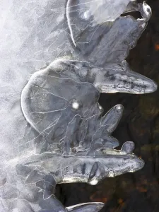 Ice Abstract 1, Massachusetts, Seekonk, Caratunk Wildlife Refuge, Close-Up Of Pattern In Ice Ice Abstract 1, Massachusetts, Seekonk, Caratunk Wildlife Refuge, Close-Up Of Pattern In Ice
