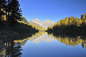 Alpine Larch Collection: Lai da Palpuogna in Autumn, Albula Pass, Bergun, Grisons, Switzerland