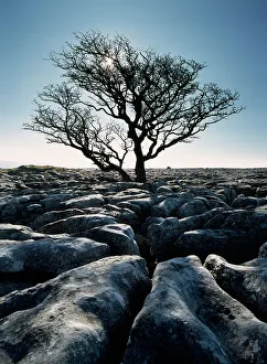 Limestone Pavement At Twisleton Scars, Yorkshire Dales National Park, North Yorkshire, England, Uk Limestone Pavement At Twisleton Scars, Yorkshire Dales National Park, North Yorkshire, England, Uk