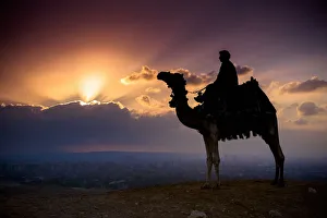 A Lone Camel And Rider Stand In Front Of The Setting Sun With The Giza Cityscape Behind Them; Giza, Egypt A Lone Camel And Rider Stand In Front Of The Setting Sun With The Giza Cityscape Behind Them; Giza, Egypt