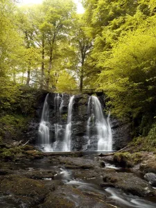 Low Angle View Of A Waterfall In A Forest, Glenariff Waterfall, County Antrim, Northern Ireland Low Angle View Of A Waterfall In A Forest, Glenariff Waterfall, County Antrim, Northern Ireland