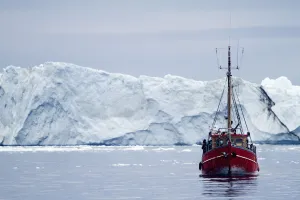 A Midnight Cruise Around The Ilulissat Ice Fjord, One Of Unesco World Heritage Sites. Greenland A Midnight Cruise Around The Ilulissat Ice Fjord, One Of Unesco World Heritage Sites. Greenland