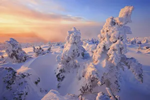 Mont Logan At Sunrise, Gaspesie National Park, Quebec Mont Logan At Sunrise, Gaspesie National Park, Quebec