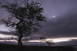 The Moon Shines Through Clouds On The Southwestern Coast Of Maui; Maui, Hawaii, United States Of America The Moon Shines Through Clouds On The Southwestern Coast Of Maui; Maui, Hawaii, United States Of America