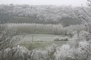 Morning Frost In December At Castelnau-Montratier Morning Frost In December At Castelnau-Montratier