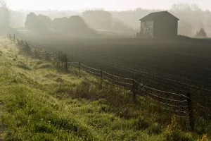 Morning Mist Over Field And Outbuilding, Bradford, Ontario Morning Mist Over Field And Outbuilding, Bradford, Ontario