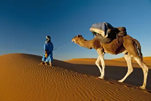 Morocco, Berber leading camel across sand dune near Merzouga in Sahara Desert; Erg Chebbi area Morocco, Berber leading camel across sand dune near Merzouga in Sahara Desert; Erg Chebbi area