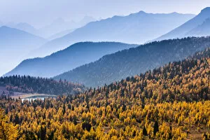 Alpine Larch Collection: Mountain Range Vista and Autumn Larch from Rock Isle Trail, Sunshine Meadows