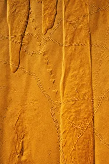 Niger, Sahara Desert; Northern Niger, Patterns and animal tracks on sand Niger, Sahara Desert; Northern Niger, Patterns and animal tracks on sand