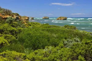 Ocean Coastline in Summer, Peterborough, Great Ocean Road, Victoria, Australia Ocean Coastline in Summer, Peterborough, Great Ocean Road, Victoria, Australia