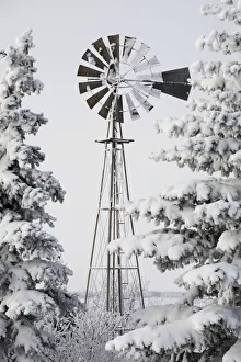 Old Windmill And Trees Covered With Snow And Frost; Calgary, Alberta, Canada Old Windmill And Trees Covered With Snow And Frost; Calgary, Alberta, Canada