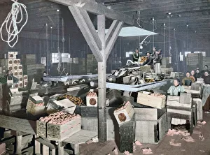 Orange Packing at Redlands, California, USA. After a photo-chromolithograph by an unidentified photographer Orange Packing at Redlands, California, USA. After a photo-chromolithograph by an unidentified photographer